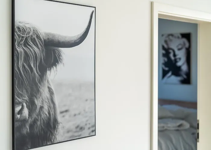 Hangar 19 Superior Mit Terrasse Und Garten H1w1